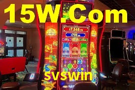 Premium Interface svswin